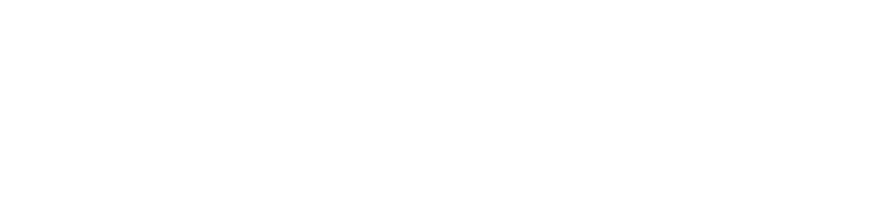 RACE E SPORT TEAM